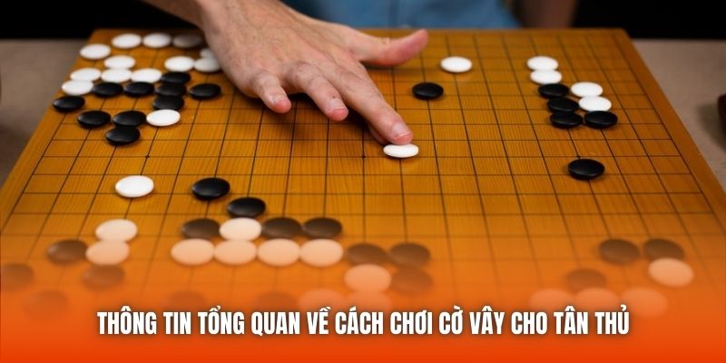Thông tin tổng quan về cách chơi cờ vây cho tân thủ