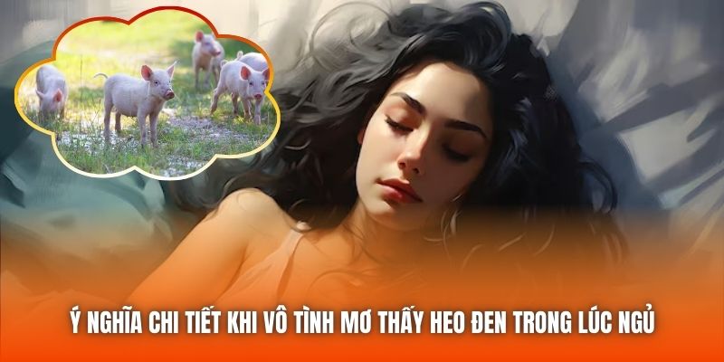 Ý nghĩa chi tiết khi vô tình mơ thấy heo đen trong lúc ngủ